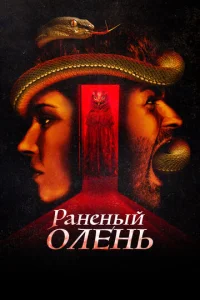  Раненый оленёнок 